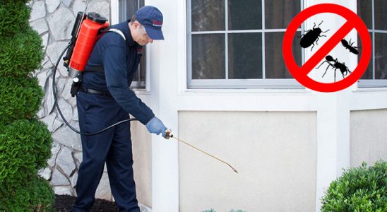 Eflani Dezenfeksiyon böcek ilaçlama ve haşere kontrolü — ilaclama-tr.com